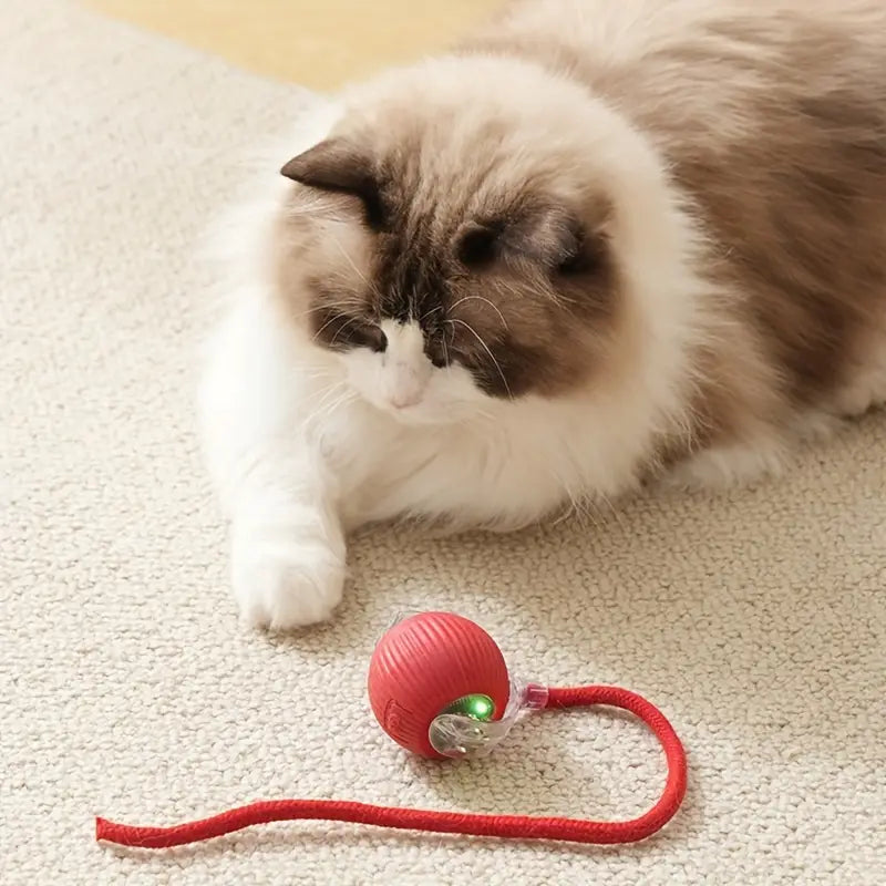 Smart Interactive Pet Toy Ball